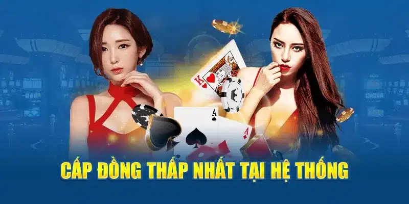 Các lợi ích lâu dài từ khuyến mãi BL555