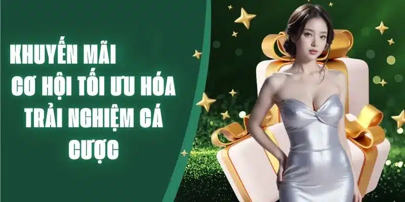Cách tận dụng khuyến mãi BL555 hiệu quả